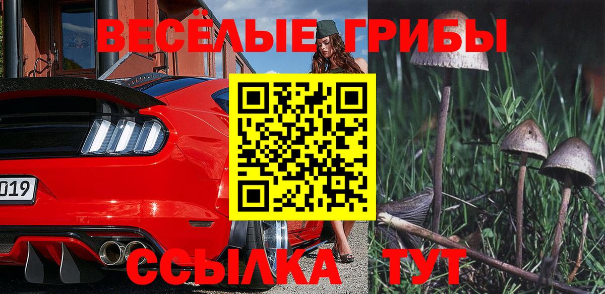 Ливны  Псилоцибиновые грибы GOLDEN TEACHER  где можно купить наркотик  Галлюциногенные грибы Psilocybe  Вход с VPN 